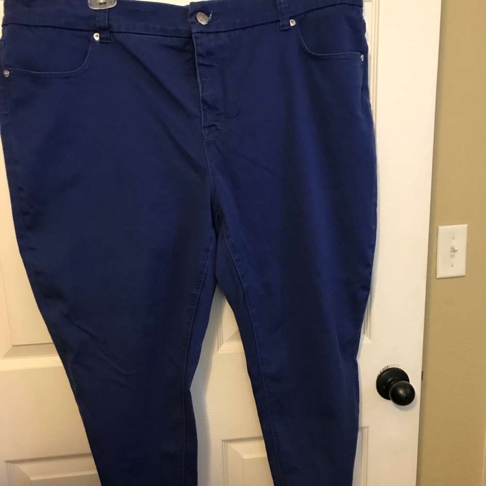 Melissa McCarthy Seven Pencil Jeans